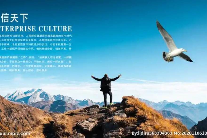 从回合占有率到真实命中率：篮球数据解读的三个常见误区